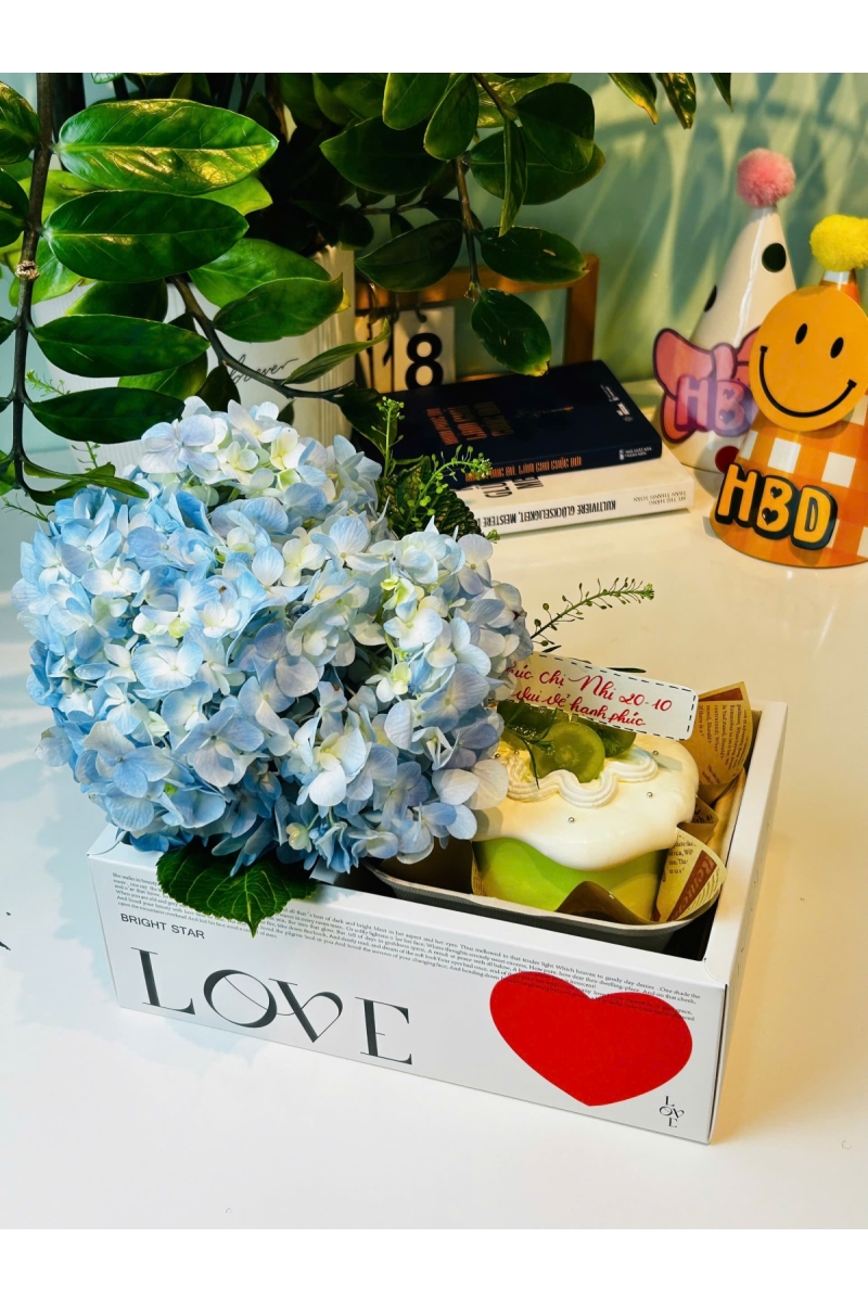 Sét bánh kem tươi và hoa cẩm tú cầu