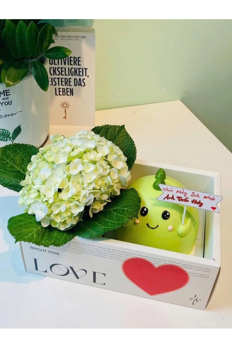 Sét bánh kem tươi và hoa cẩm tú cầu