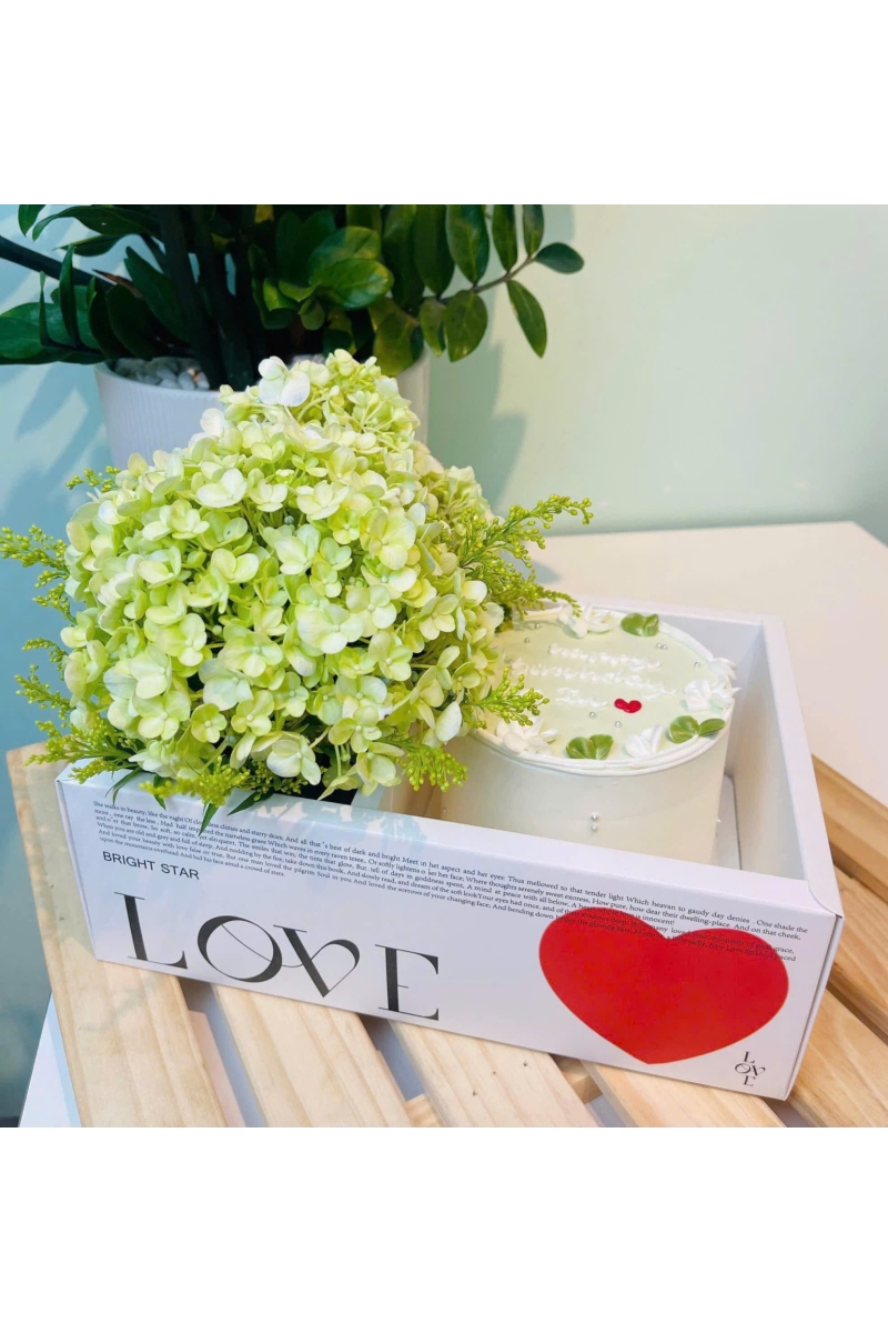 Sét bánh kem tươi và hoa cẩm tú cầu